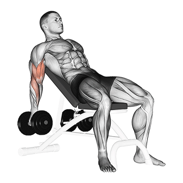 Alternate Incline Dumbbell Curl demonstration