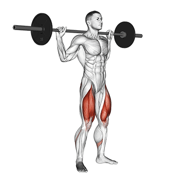 Barbell Squat demonstration