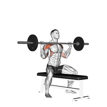 Barbell Shoulder Press demonstration