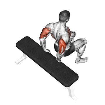 Bench Dips demonstration