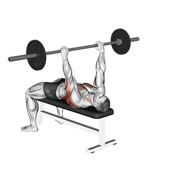 Bent-Arm Barbell Pullover demonstration