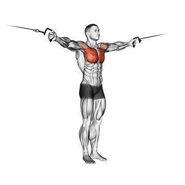Cable Crossover demonstration