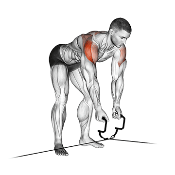 Cable Rear Delt Fly demonstration