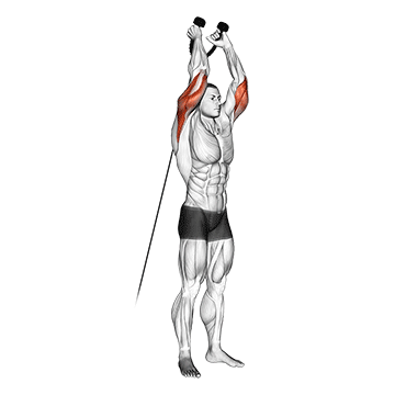 Cable Rope Overhead Triceps Extension demonstration
