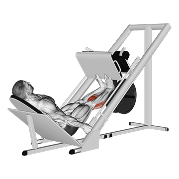 Calf Press On The Leg Press Machine demonstration