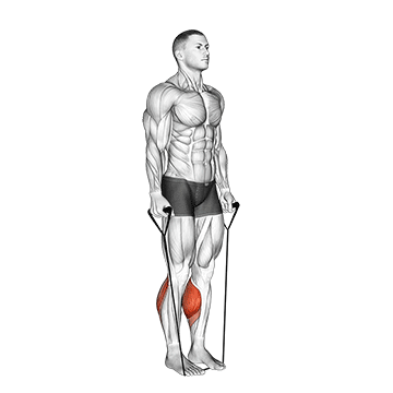 Calf Raises - With Bands demonstration