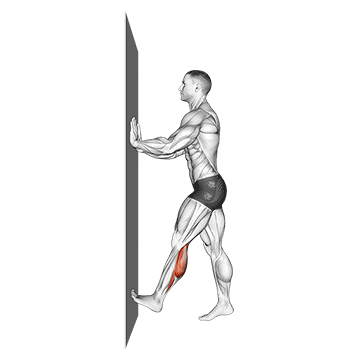 Calf Stretch Elbows Against Wall demonstration
