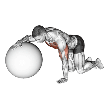 Chest Stretch on Stability Ball demonstration