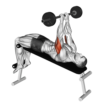 Decline Close-Grip Bench To Skull Crusher demonstration