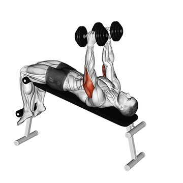 Decline Dumbbell Triceps Extension demonstration