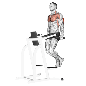 Dips - Triceps Version demonstration