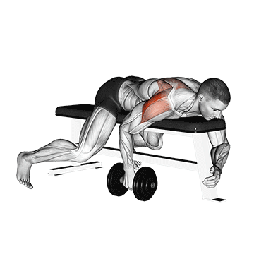 Dumbbell Lying One-Arm Rear Lateral Raise demonstration