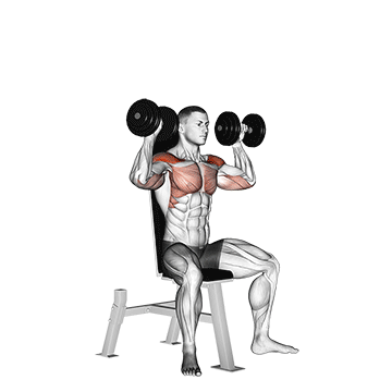 Dumbbell Shoulder Press demonstration
