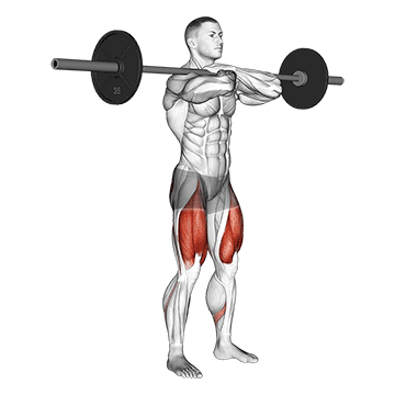Front Barbell Squat demonstration