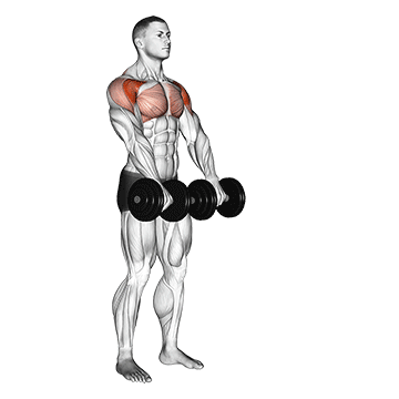 Front Dumbbell Raise demonstration