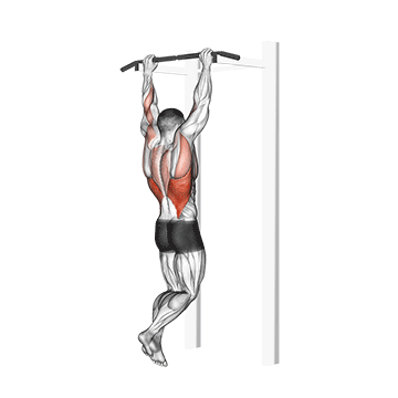Gironda Sternum Chins demonstration