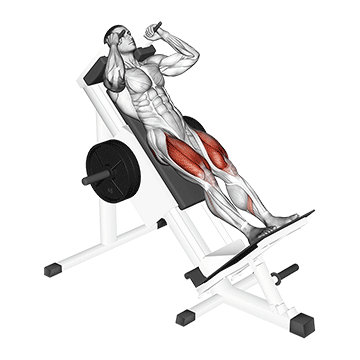 Hack Squat demonstration