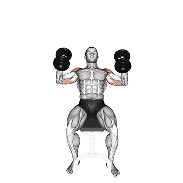 Hammer Grip Incline DB Bench Press demonstration