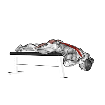 Hyperextensions With No Hyperextension Bench demonstration