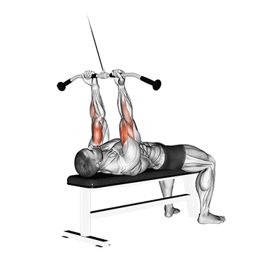 Lying Close-Grip Bar Curl On High Pulley demonstration