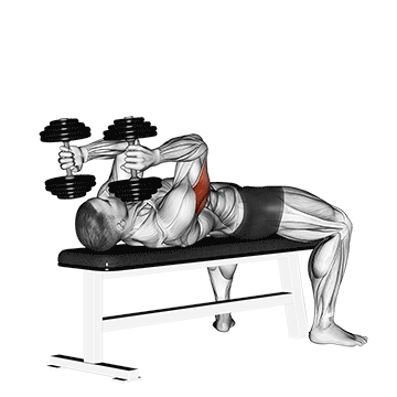Lying Dumbbell Tricep Extension demonstration