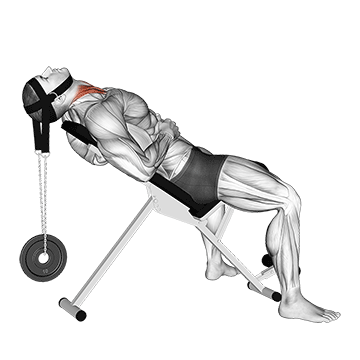 Lying Face Up Plate Neck Resistance demonstration