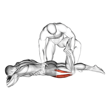 Lying Prone Quadriceps demonstration