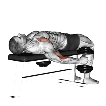 Lying Supine Dumbbell Curl demonstration