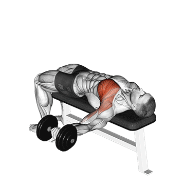 One-Arm Flat Bench Dumbbell Flye demonstration
