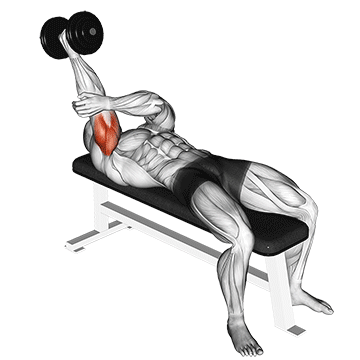 One Arm Supinated Dumbbell Triceps Extension demonstration