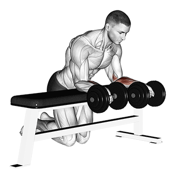 Palms-Down Dumbbell Wrist Curl Over A Bench demonstration