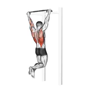 Pullups demonstration