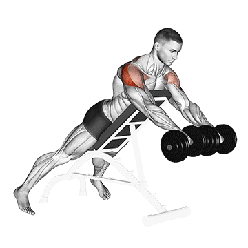 Reverse Flyes With External Rotation demonstration