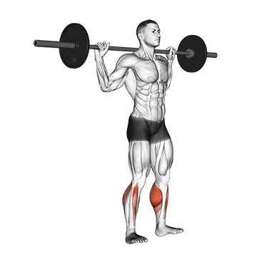 Rocking Standing Calf Raise demonstration