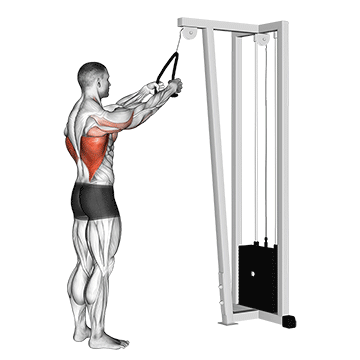 Rope Straight-Arm Pulldown demonstration