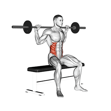 Seated Barbell Twist demonstration