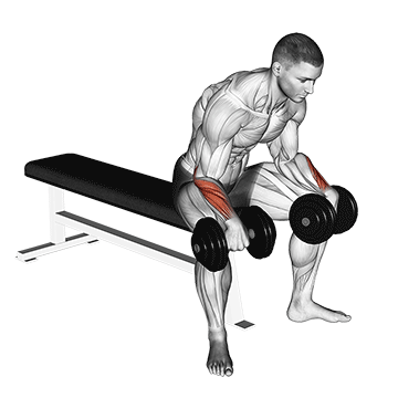 Seated Dumbbell Palms-Down Wrist Curl demonstration