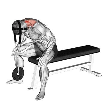 Seated Head Harness Neck Resistance demonstration