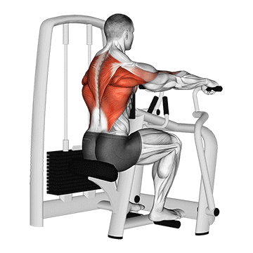Seated Machine Row demonstration