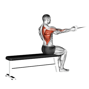 Seated One-arm Cable Pulley Rows demonstration