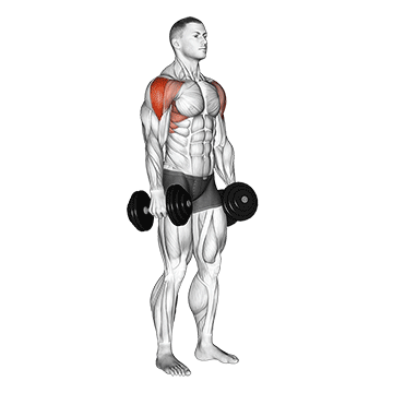 Side Lateral Raise demonstration