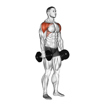 Side Laterals to Front Raise demonstration
