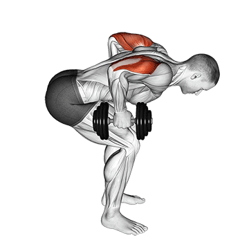 Standing Bent-Over Two-Arm Dumbbell Triceps Extension demonstration
