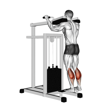 Standing Calf Raises demonstration