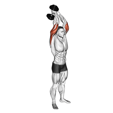 Standing Dumbbell Triceps Extension demonstration