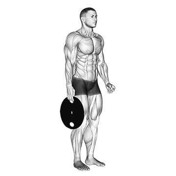 Standing Olympic Plate Hand Squeeze demonstration