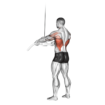 Straight-Arm Pulldown demonstration