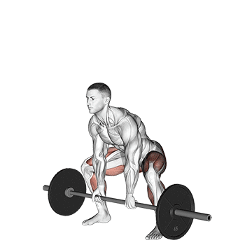 Sumo Deadlift demonstration