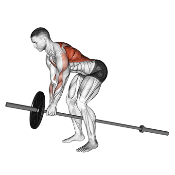 T-Bar Row with Handle demonstration