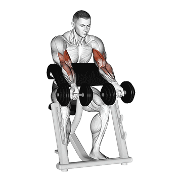 Zottman Preacher Curl demonstration